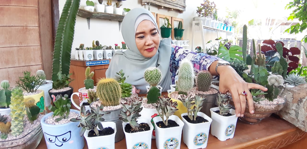 Jumlah Kasus Covid-19 di Kaltara