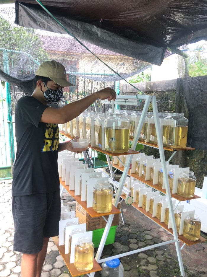 Jumlah Kasus Covid-19 di Kaltara