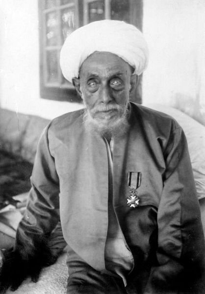 Habib Usman bin Yahya, Mufti Batavia
