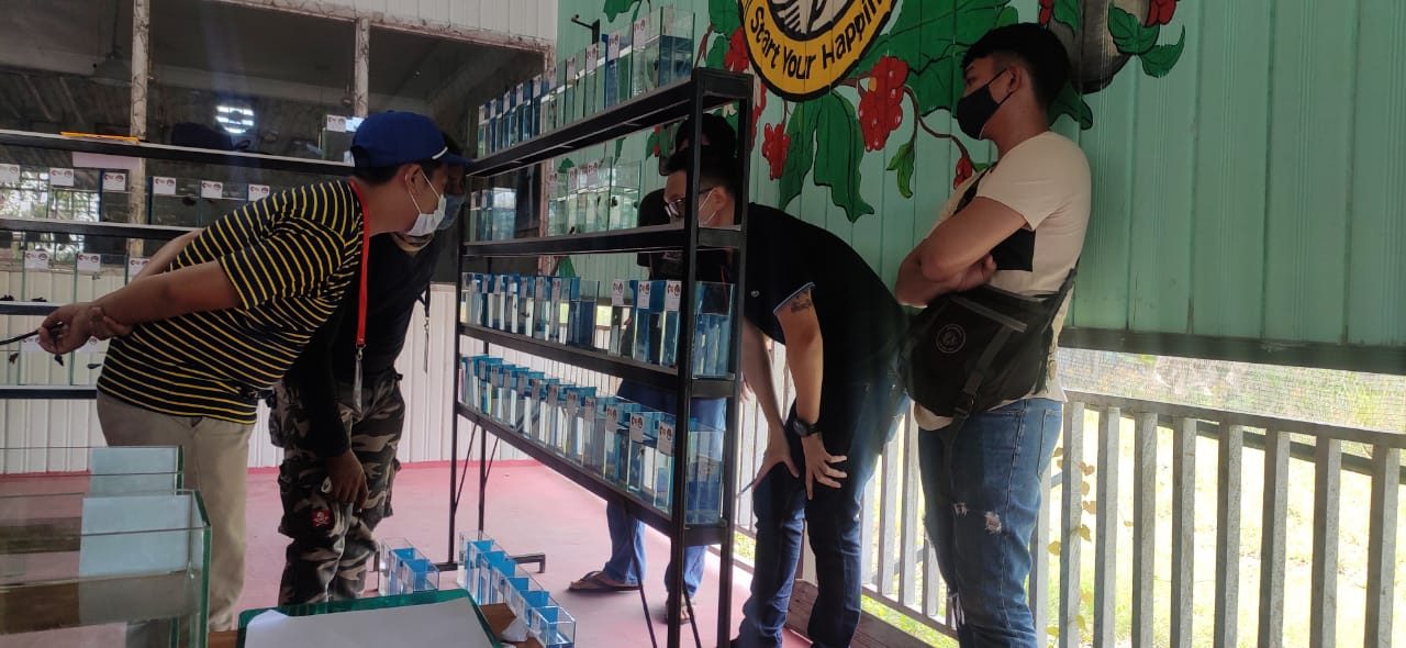 Jumlah Kasus Covid-19 di Kaltara