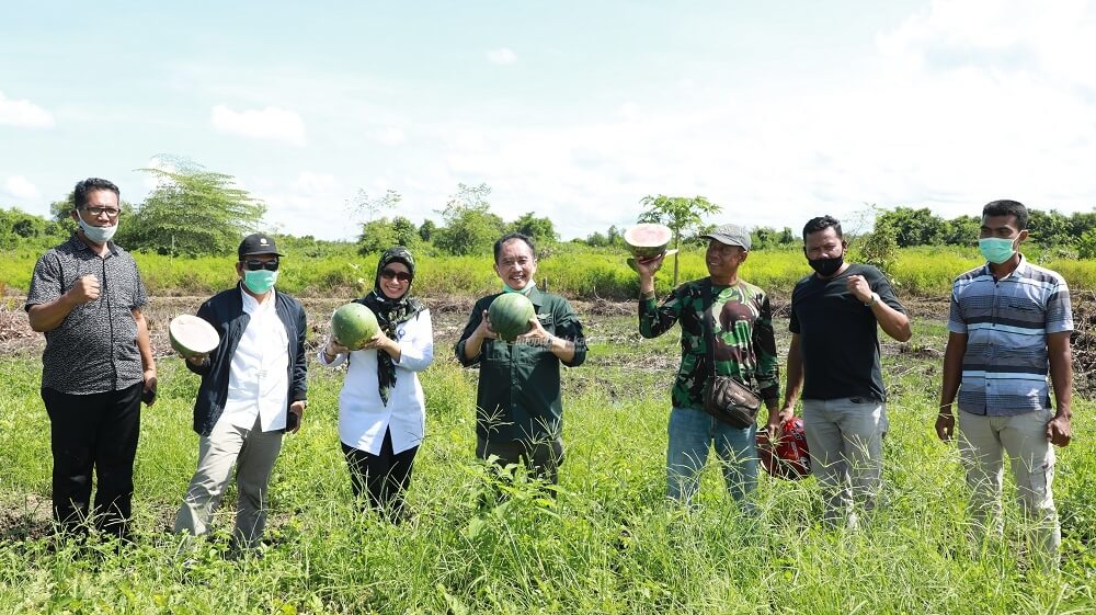 Stafsus Mentan, Yesiah Eri Tamalagi saat melakukan kunjungan kerja ke food estate SP3 Tanjung Buka, Bulungan, Rabu (16/12) siang