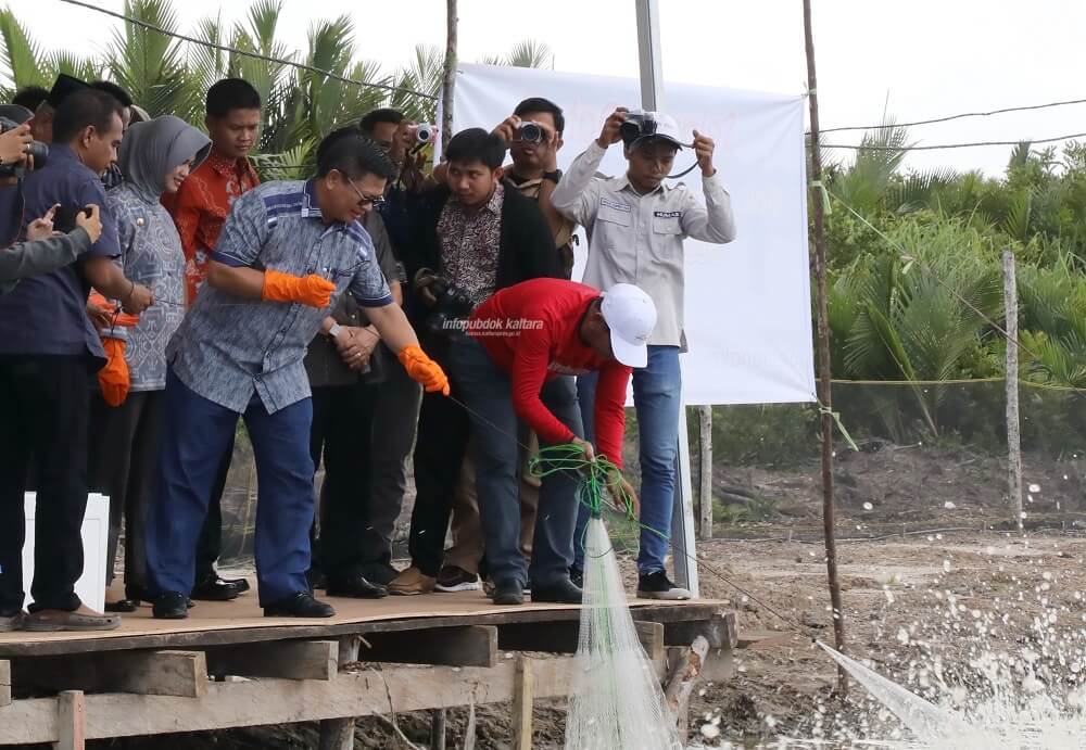 Jumlah Kasus Covid-19 di Kaltara
