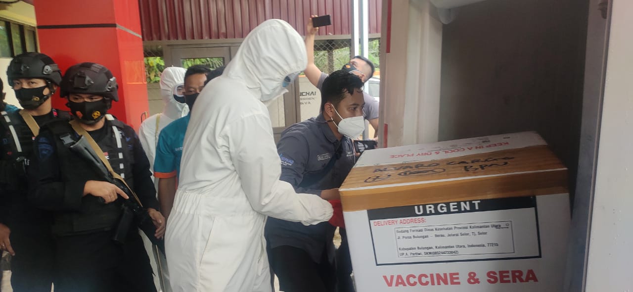 Vaksin COVID-19 saat tiba di Gudang Farmasi Dinkes Kaltara. (Foto : Dicky) 