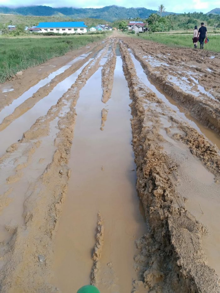 Kondisi jalan di Tanjung Karya, Krayan Barat, Nunukan