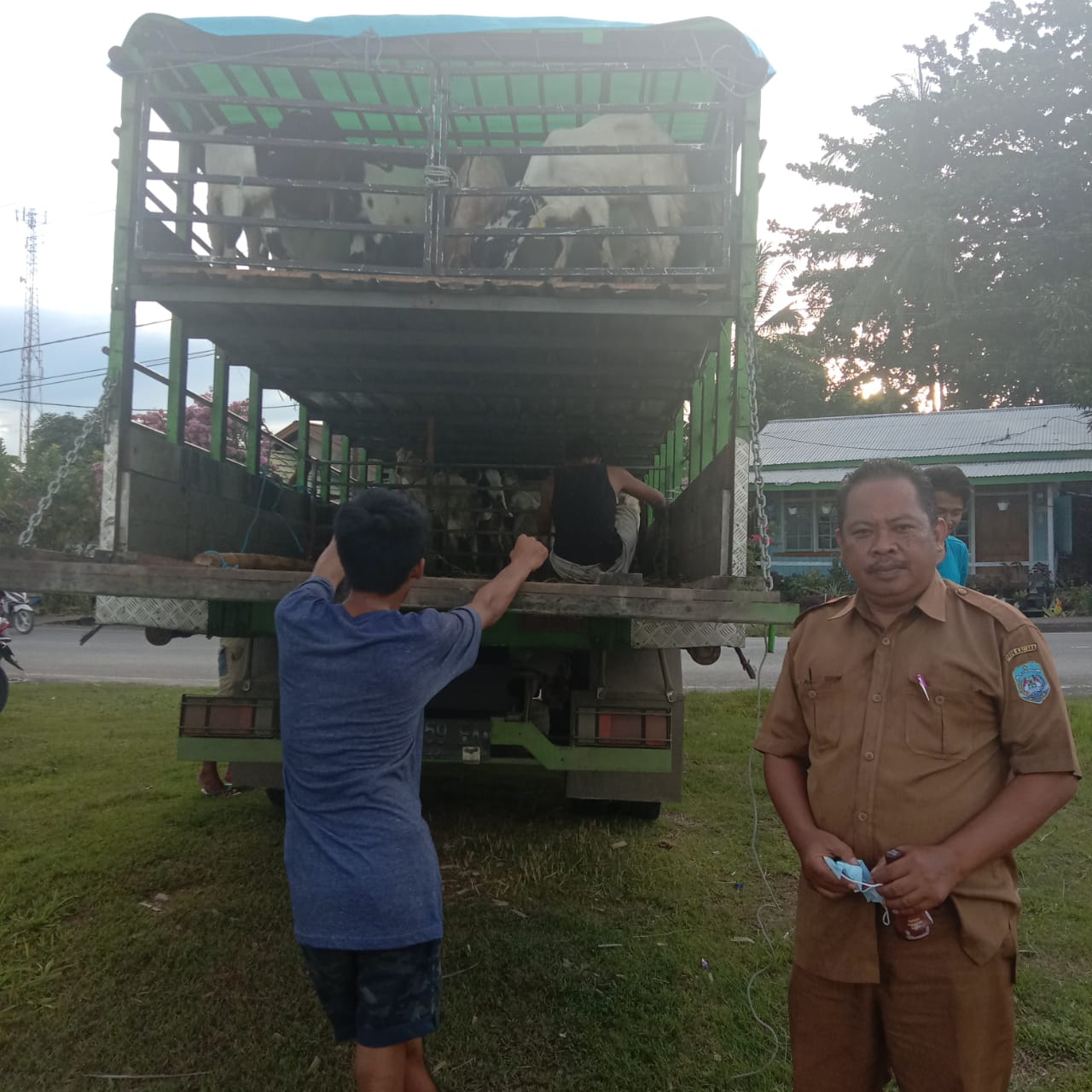 Proses penyaluran bantuan Kambing dari DPKP Provinsi Kaltara