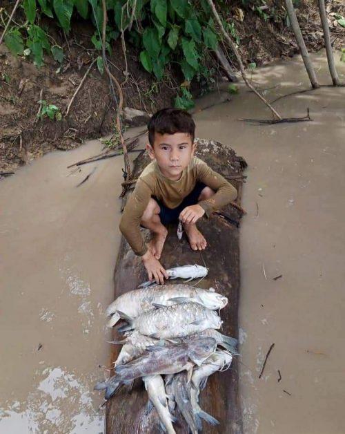 Seorang anak menunjukan ikan mati diduga akibat pencemaran.