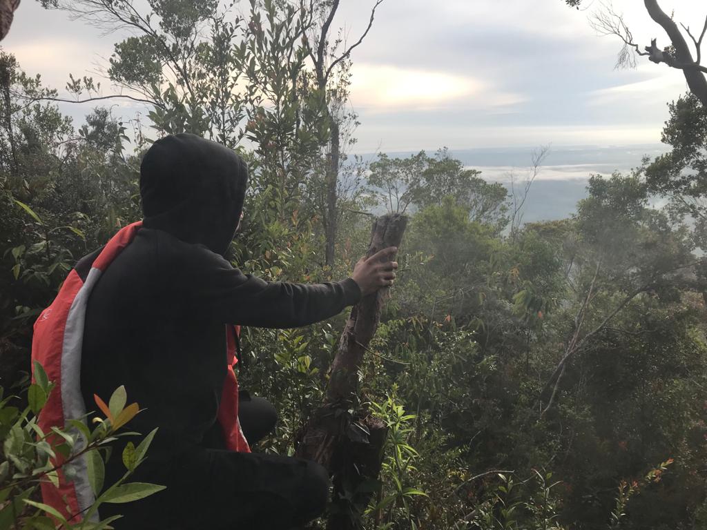 Jumlah Kasus Covid-19 di Kaltara