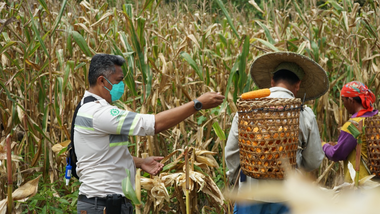 Jumlah Kasus Covid-19 di Kaltara