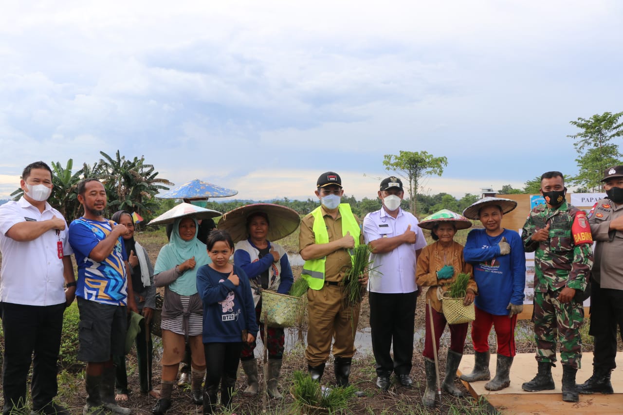 Wagub Kaltara Dr Yansen TP M,Si saat meninjau areal persawahan di Kaliamok, Kecamatan Malinau Utara, Kabupaten Malinau, Rabu (6/10/2021) sore. 
