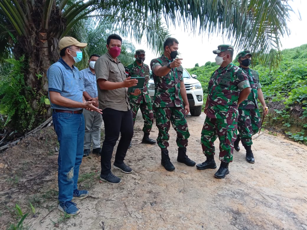 Jumlah Kasus Covid-19 di Kaltara