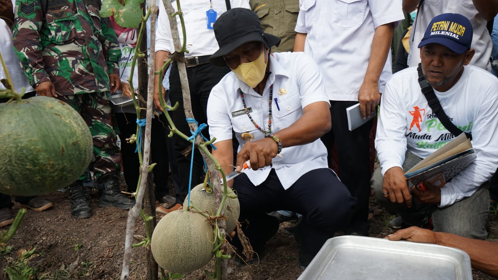 Jumlah Kasus Covid-19 di Kaltara