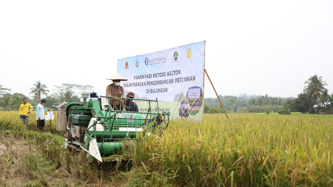 Jumlah Kasus Covid-19 di Kaltara
