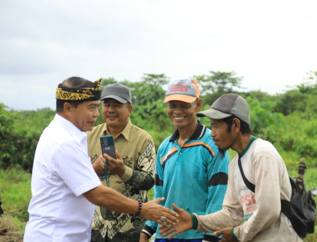 Jumlah Kasus Covid-19 di Kaltara