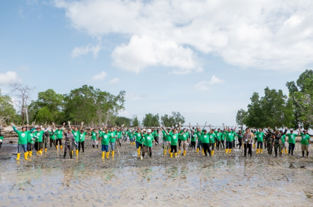 Jumlah Kasus Covid-19 di Kaltara