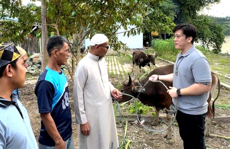 Jumlah Kasus Covid-19 di Kaltara