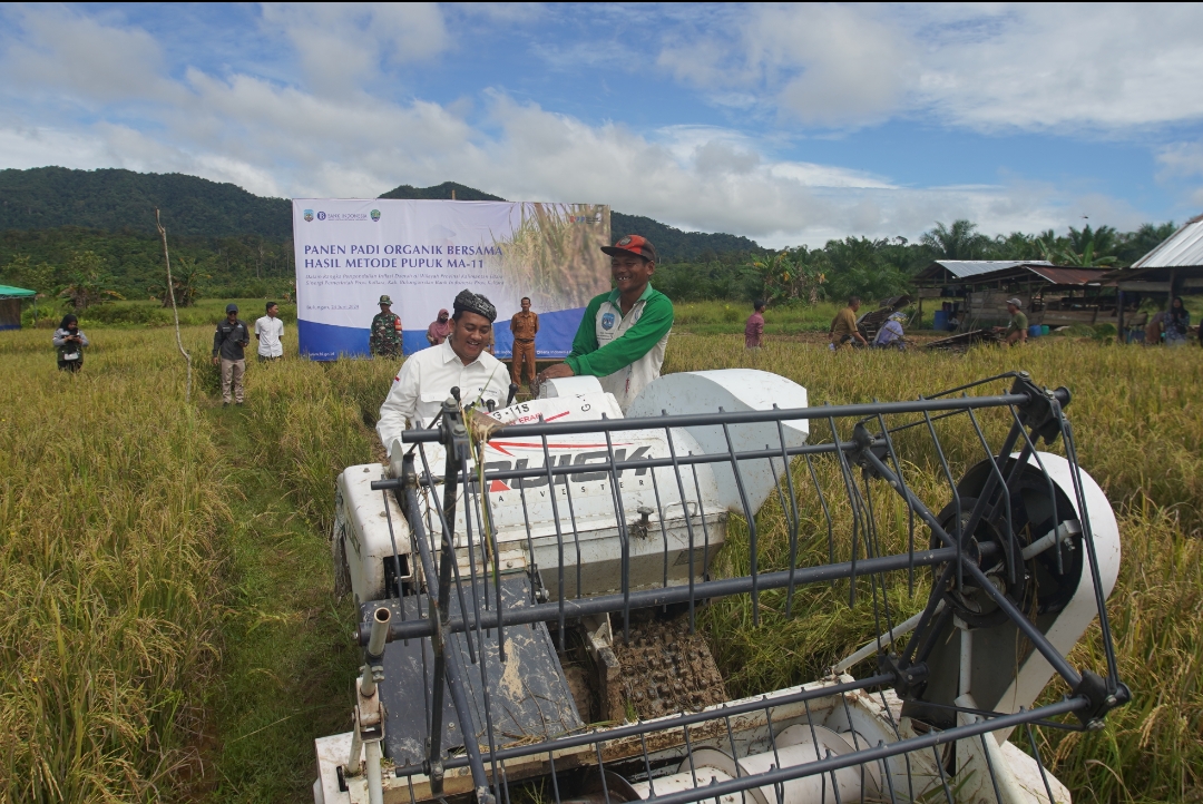 Jumlah Kasus Covid-19 di Kaltara