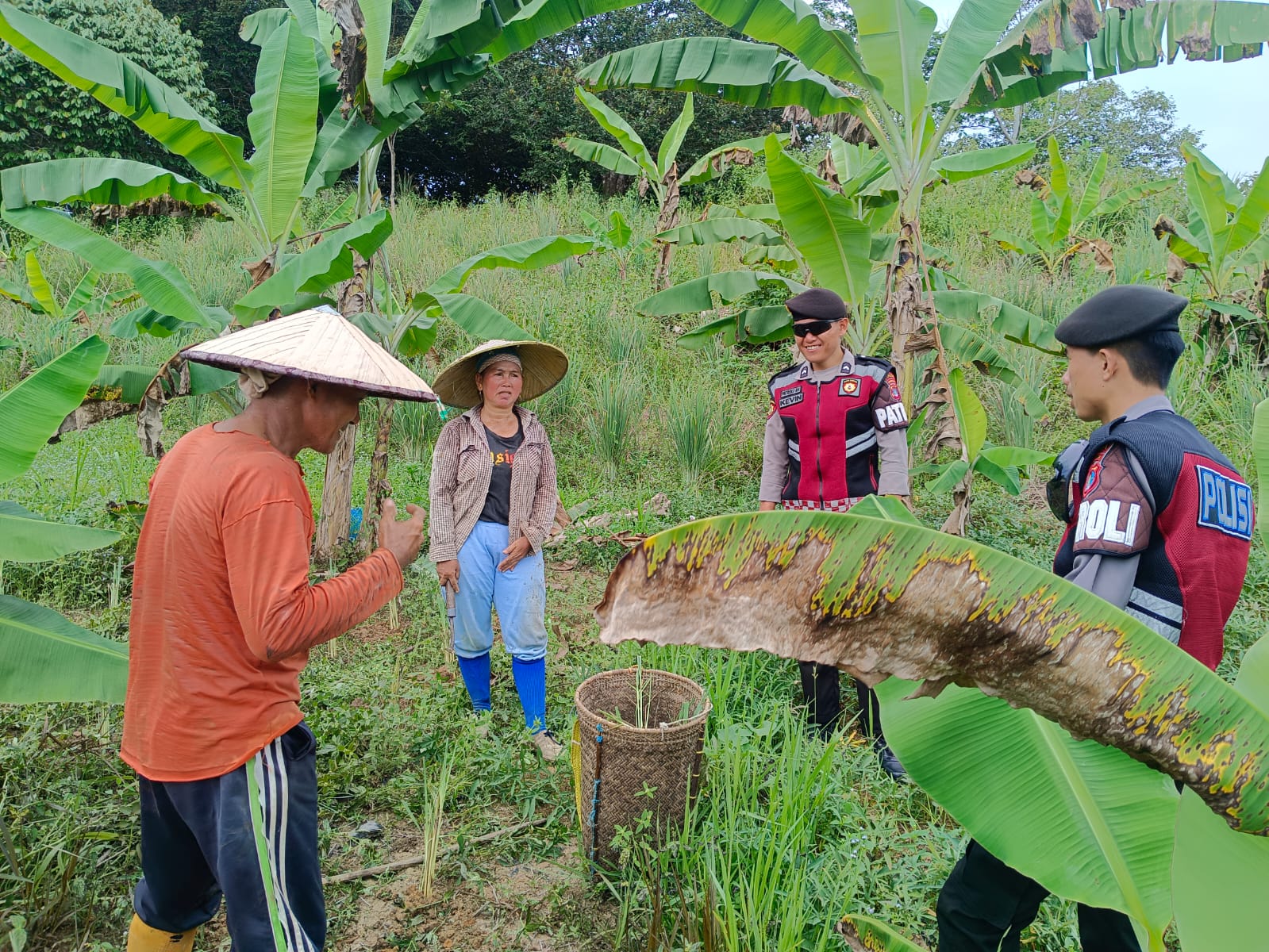 Jumlah Kasus Covid-19 di Kaltara