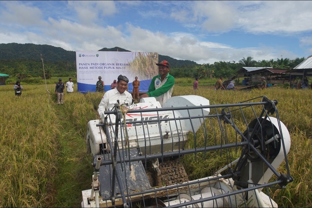 Jumlah Kasus Covid-19 di Kaltara