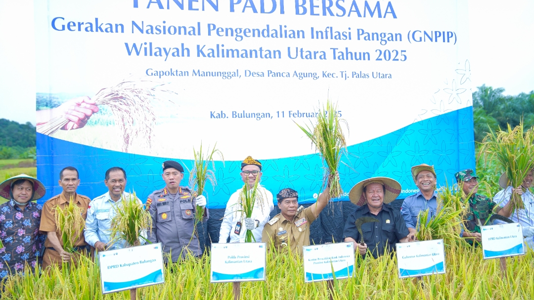 Jumlah Kasus Covid-19 di Kaltara