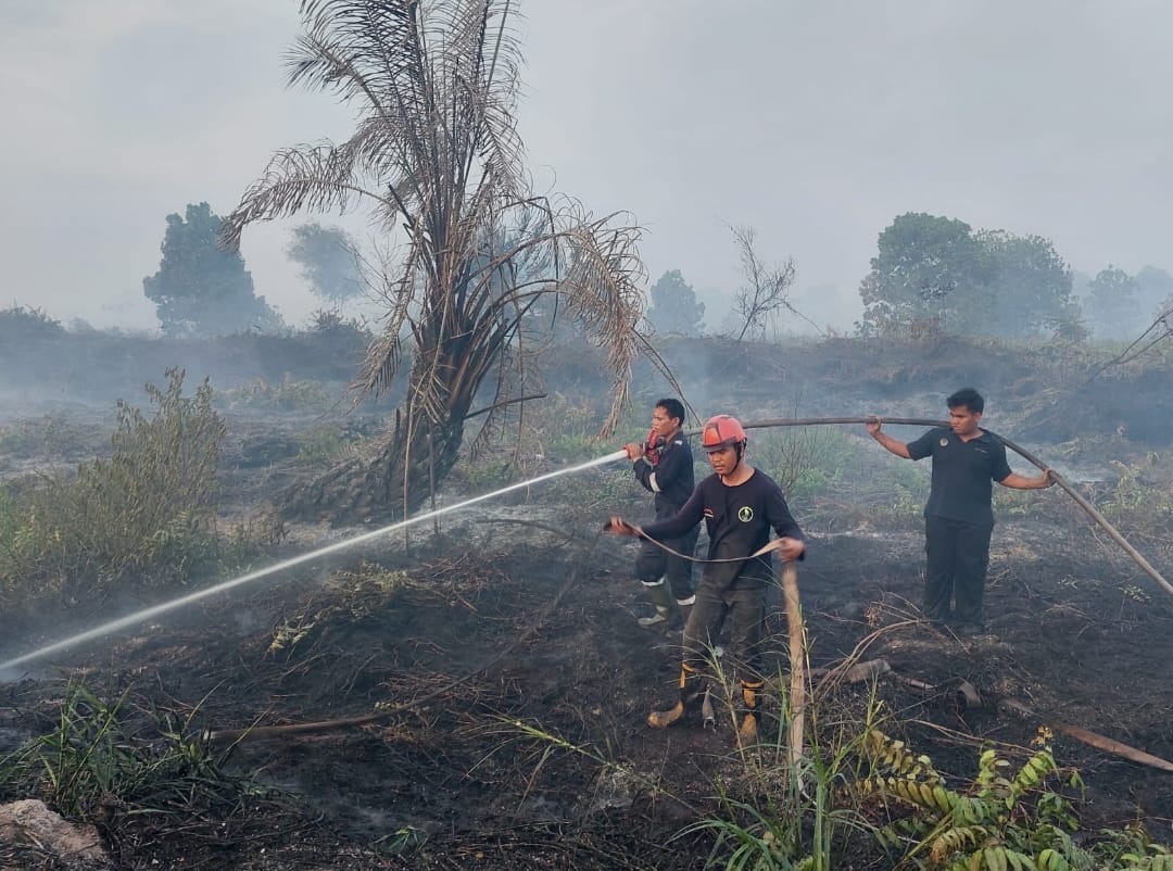 Jumlah Kasus Covid-19 di Kaltara